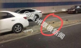 农村车祸最新爆料新闻,最新爆料揭示事故背后惊人真相