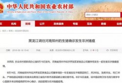 最新情况爆料,重大事件背后真相曝光