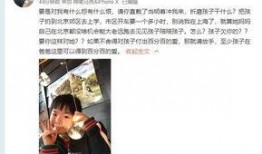 杨展最新爆料视频大全,揭秘幕后真相，带你走进事件核心